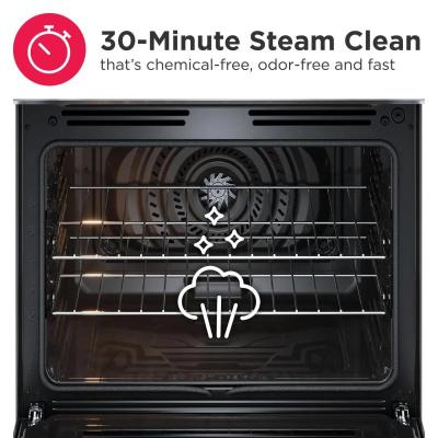 30" Frigidaire Gallery 5.1 Cu. Ft. Rear Control Gas Range with Total Convection - GCRG3059BF